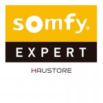 Moteur SOMFY® GEMINI 25/17 RH WT 1043014