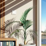 Interrupteur mural SOMFY® Amy 1 Sun Protect Modes io 1871450