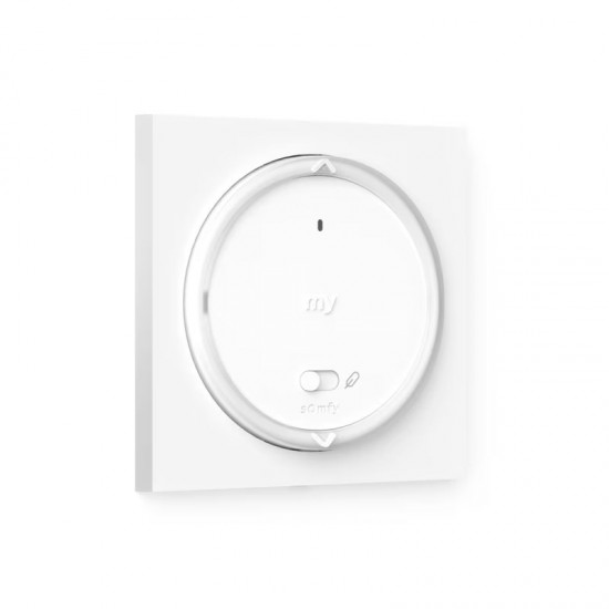 SOMFY® Wall Switch Amy 1 RS100 io 1871109