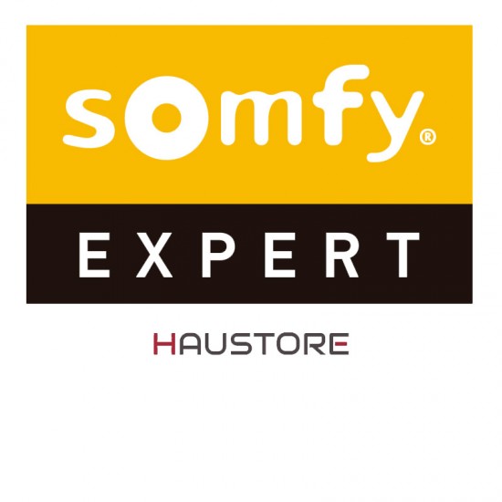 Sensor de luminosidad y temperatura SOMFY® Sunteis IO 1871306