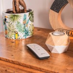 Mando a distancia SOMFY® Situo 1 IO Natural 1870322