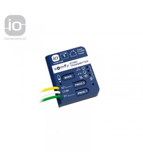 Émetteur SOMFY® IZYMO Transmitter io 1822609